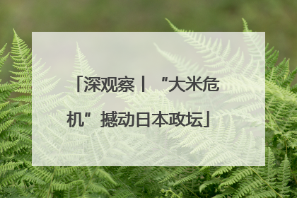 深观察丨“大米危机”撼动日本政坛