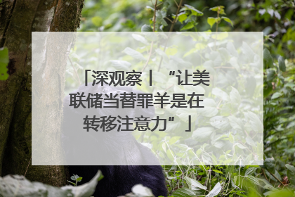 深观察丨“让美联储当替罪羊是在转移注意力”