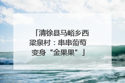 清徐县马峪乡西梁泉村：串串葡萄变身“金果果”