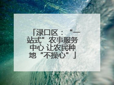 渌口区：“一站式”农事服务中心 让农民种地“不操心”
