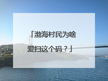 渤海村民为啥爱扫这个码？