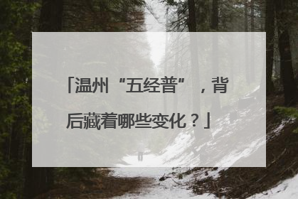 温州“五经普”，背后藏着哪些变化？