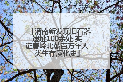渭南新发现旧石器遗址100余处 实证秦岭北麓百万年人类生存演化史