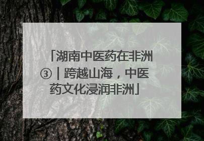湖南中医药在非洲③｜跨越山海，中医药文化浸润非洲