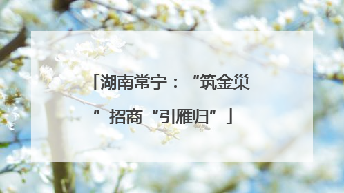湖南常宁：“筑金巢”招商“引雁归”