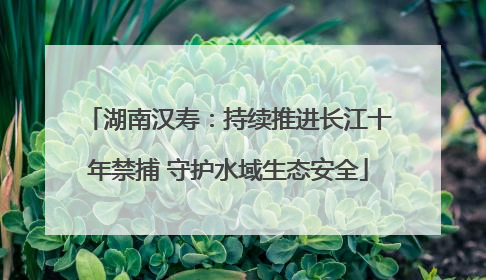 湖南汉寿：持续推进长江十年禁捕 守护水域生态安全