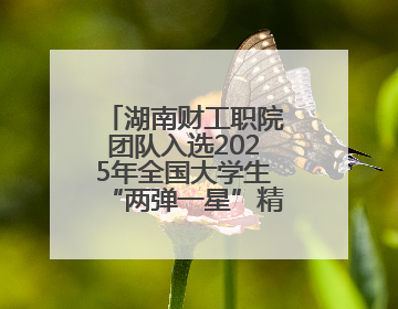 湖南财工职院团队入选2025年全国大学生“两弹一星”精神志愿宣讲团