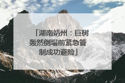 湖南靖州：巨树轰然倒塌前紧急管制成功避险