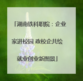 湖南铁科职院：企业家进校园 政校企共绘就业创业新图景