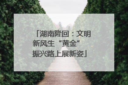 湖南隆回：文明新风生“黄金” 振兴路上展新姿