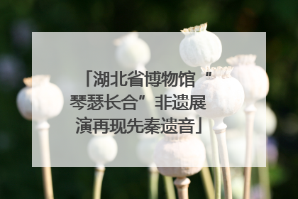 湖北省博物馆“琴瑟长合”非遗展演再现先秦遗音