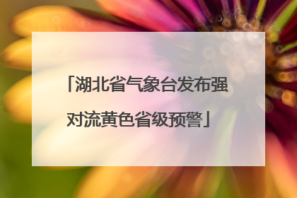 湖北省气象台发布强对流黄色省级预警