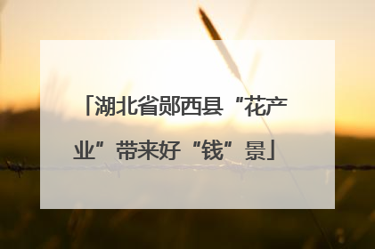 湖北省郧西县“花产业”带来好“钱”景