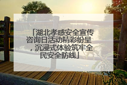 湖北孝感安全宣传咨询日活动精彩纷呈，沉浸式体验筑牢全民安全防线