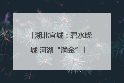 湖北宜城：碧水绕城 河湖“淌金”