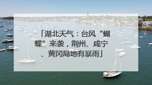 湖北天气：台风“蝴蝶”来袭，荆州、咸宁、黄冈局地有暴雨