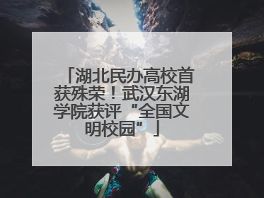 湖北民办高校首获殊荣！武汉东湖学院获评“全国文明校园”