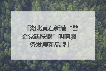 湖北黄石新港“警企党建联盟”叫响服务发展新品牌