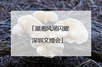 湖湘风潮闪耀深圳文博会