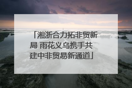 湘浙合力拓非贸新局 雨花义乌携手共建中非贸易新通道
