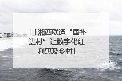 湘西联通“国补进村”让数字化红利惠及乡村