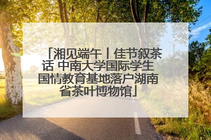 湘见端午丨佳节叙茶话 中南大学国际学生国情教育基地落户湖南省茶叶博物馆