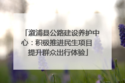 溆浦县公路建设养护中心：积极推进民生项目 提升群众出行体验