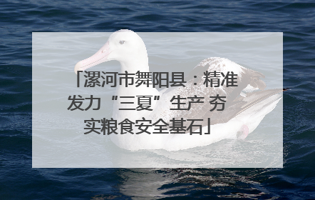 漯河市舞阳县：精准发力“三夏”生产 夯实粮食安全基石
