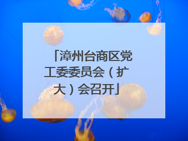 漳州台商区党工委委员会（扩大）会召开