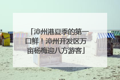 漳州港夏季的第一口鲜！漳州开发区万亩杨梅迎八方游客