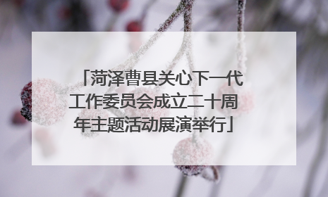 菏泽曹县关心下一代工作委员会成立二十周年主题活动展演举行