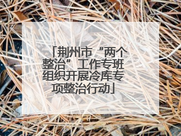 荆州市“两个整治”工作专班组织开展冷库专项整治行动