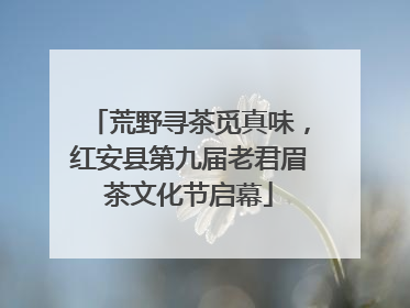 荒野寻茶觅真味，红安县第九届老君眉茶文化节启幕