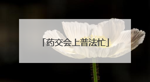 药交会上普法忙