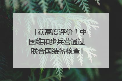 获高度评价！中国维和步兵营通过联合国装备核查