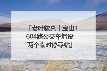 老叶较真丨宝山1604路公交车增设两个临时停靠站