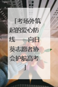 考场外筑起的爱心防线——向日葵志愿者协会护航高考