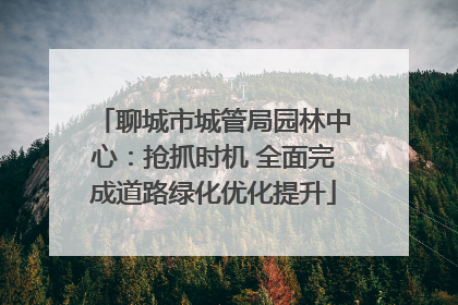 聊城市城管局园林中心：抢抓时机 全面完成道路绿化优化提升