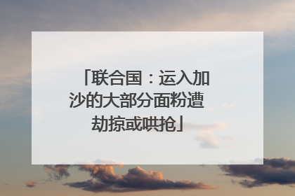联合国：运入加沙的大部分面粉遭劫掠或哄抢