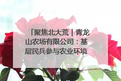 聚焦北大荒｜青龙山农场有限公司：基层民兵参与农业环境综合治理显效