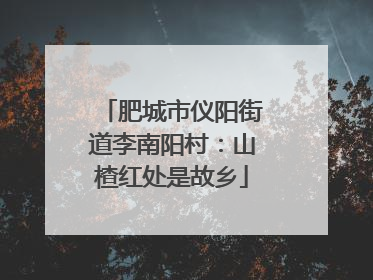肥城市仪阳街道李南阳村：山楂红处是故乡