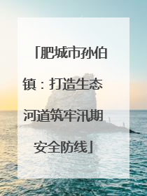 肥城市孙伯镇：打造生态河道筑牢汛期安全防线