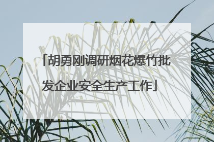 胡勇刚调研烟花爆竹批发企业安全生产工作