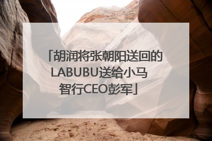 胡润将张朝阳送回的LABUBU送给小马智行CEO彭军