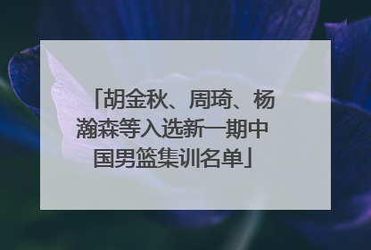 胡金秋、周琦、杨瀚森等入选新一期中国男篮集训名单