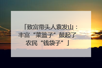 致富带头人袁发山：丰富“菜篮子”鼓起了农民“钱袋子”