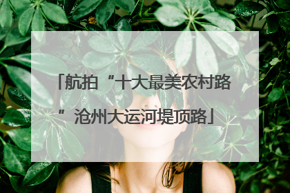 航拍“十大最美农村路”沧州大运河堤顶路