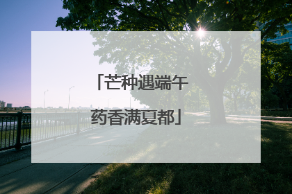 芒种遇端午 药香满夏都