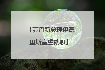 苏丹新总理伊德里斯宣誓就职
