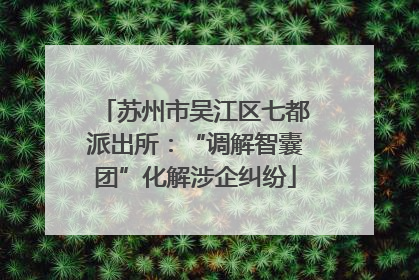 苏州市吴江区七都派出所：“调解智囊团”化解涉企纠纷